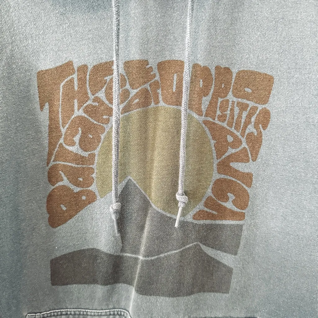 🌊RARE! RVCA Blue Return Pullover Hoodie🌊 ~Med - Image 3