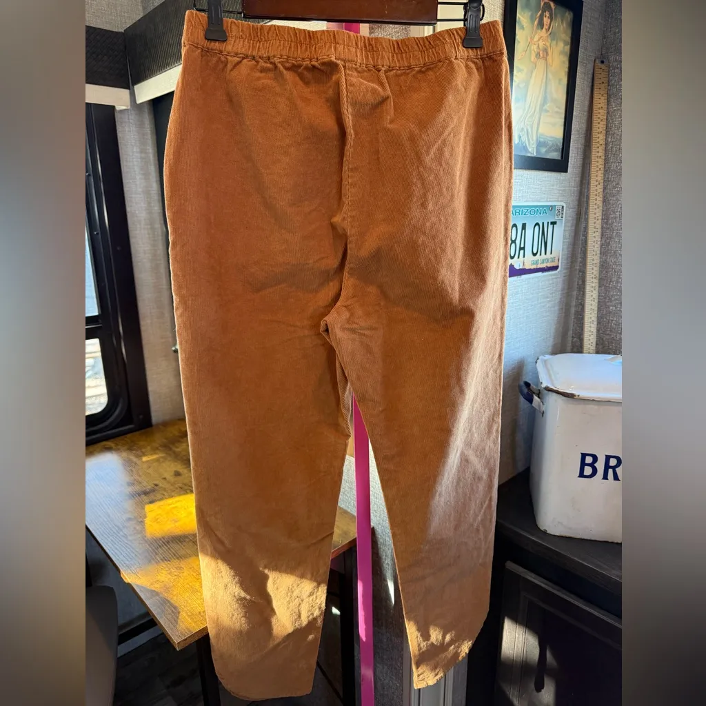 NWOT Marine Layer Brown Corduroy Trousers size Medium - Image 2