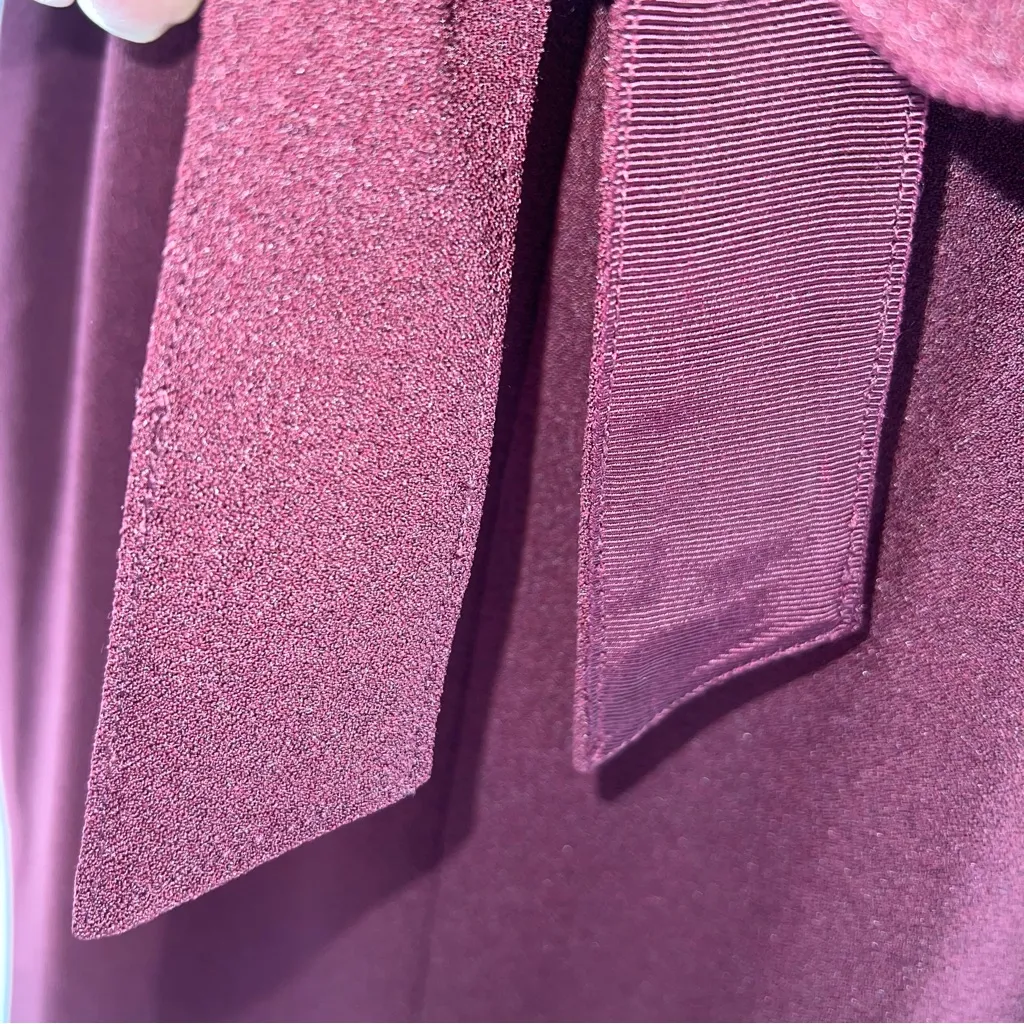 Eliza J Deep Burgundy Sheath Midi V-Neck Dress w/Reversible Fabric Belt-Size 0 - Image 4