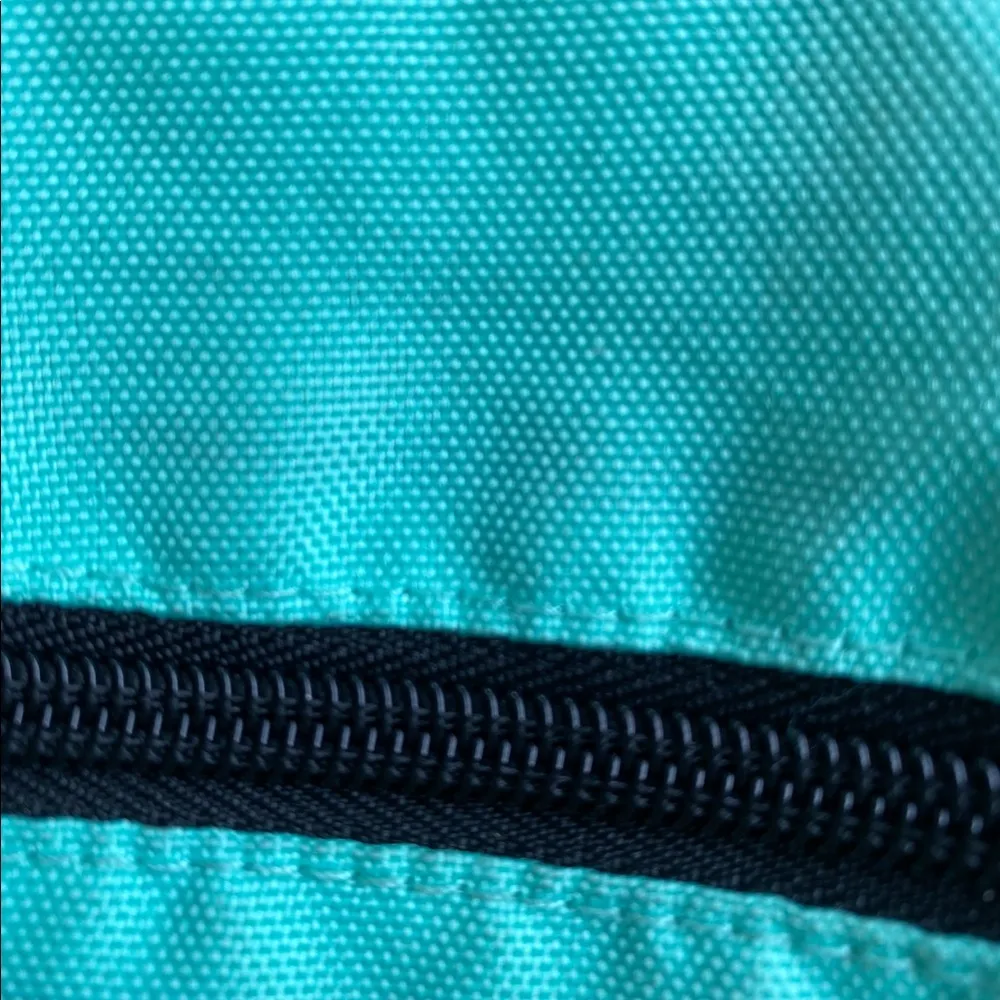 VS pink Fanny pack in teal color - Image 9
