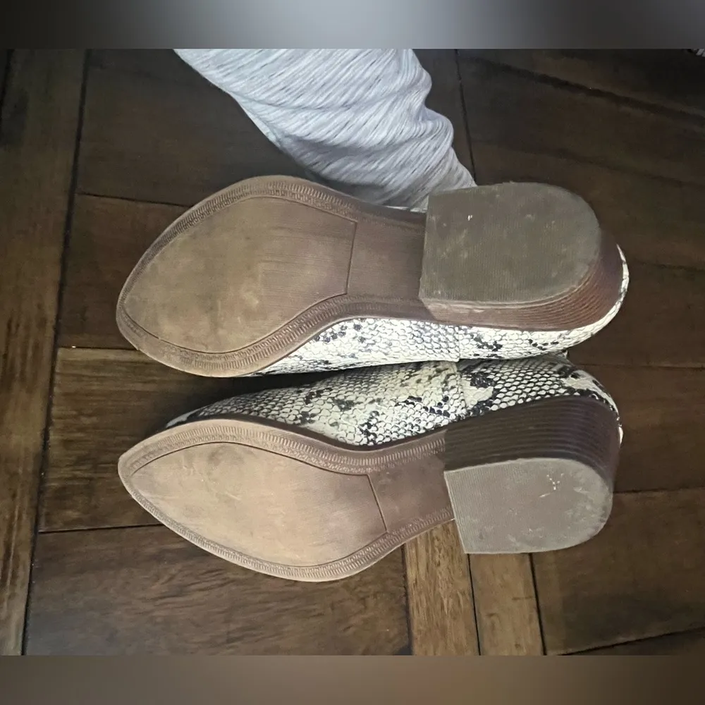 CL by Laundry  8 - Image 5