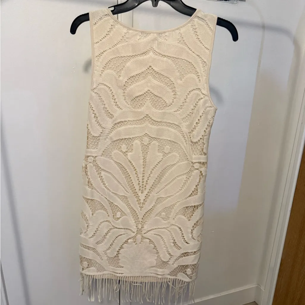 Tart White Lace Mini Dress - Image 2