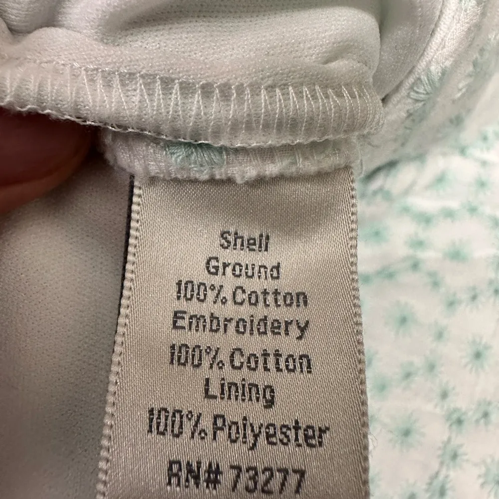 Lauren Conrad mint green and white lined embroidered shorts - Image 4