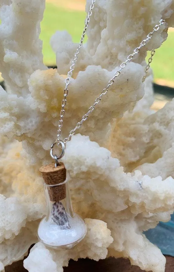 Real Miniature Seashell In Glass Pendant Necklace  - Image 3