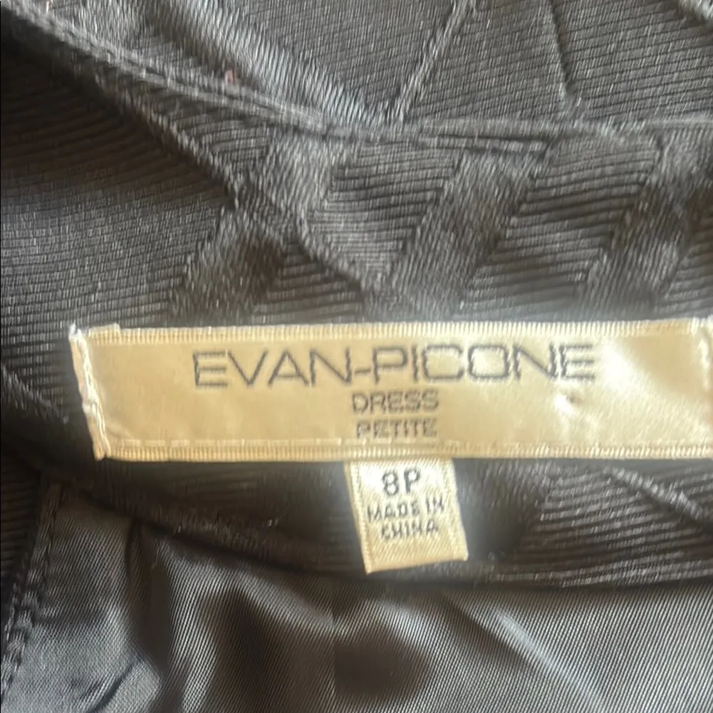 Evan Picone Black Textured Sleeveless Dress Size 8P - Image 5