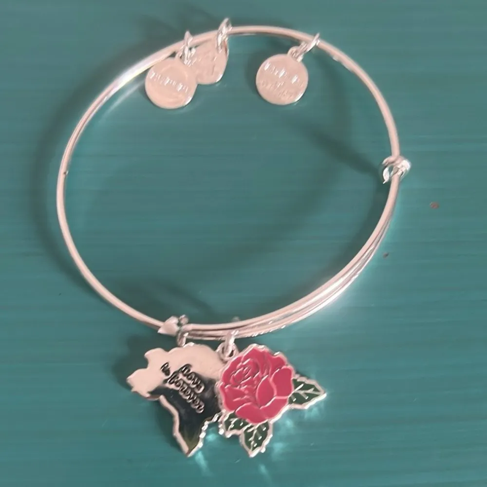 Alex and Ani Silver Red Rose Silver Tone Charm Bangle Bracelet - Image 6