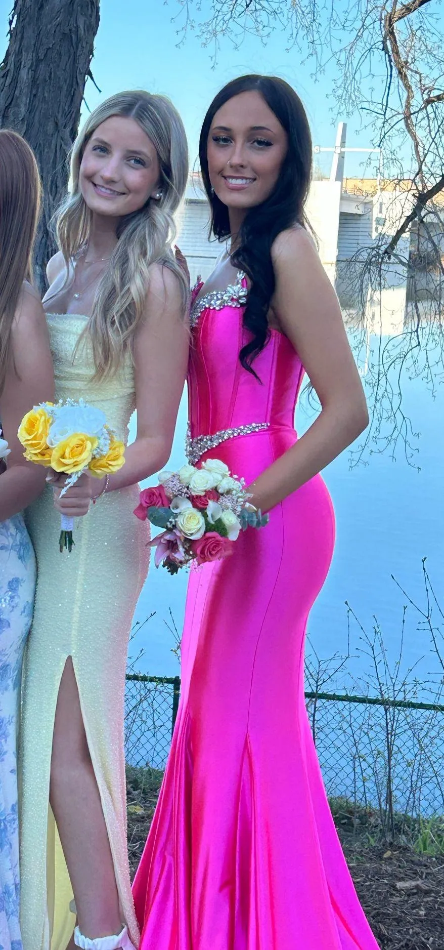 Prom Dress Windsor - Image 6