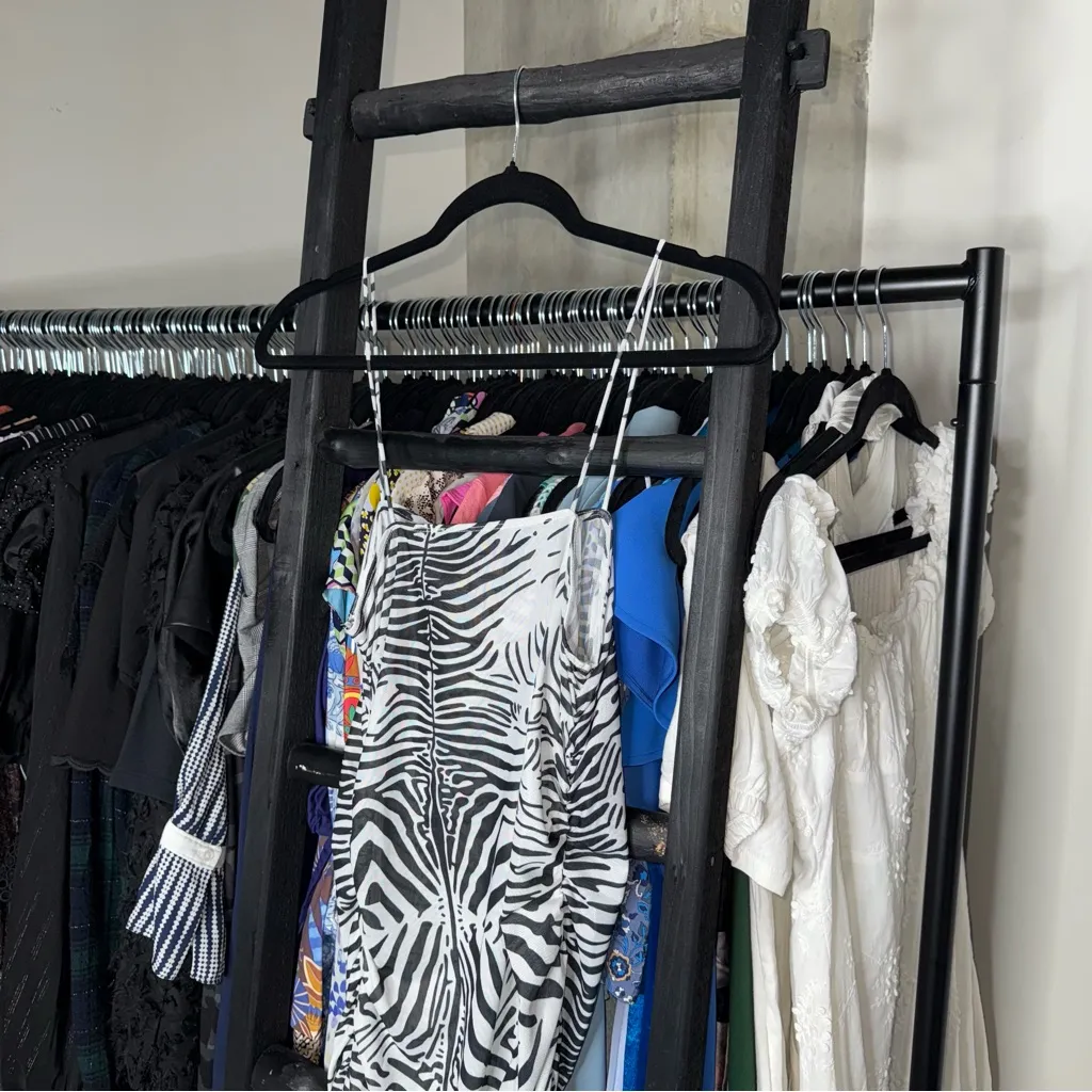 Lioness Mesh Zebra Print Mini Dress in Black White - Image 7