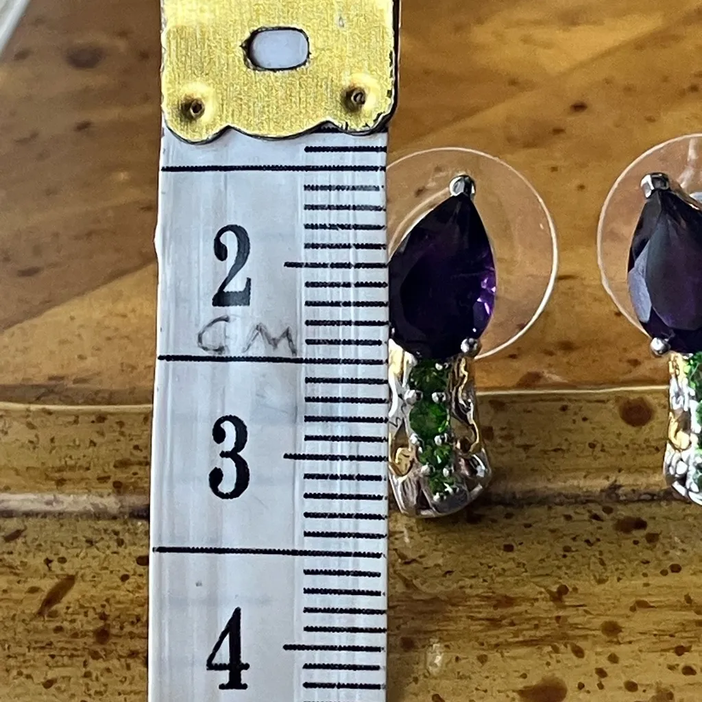 African Amethyst Chrome Diopside Sterling Silver Earrings - Image 3