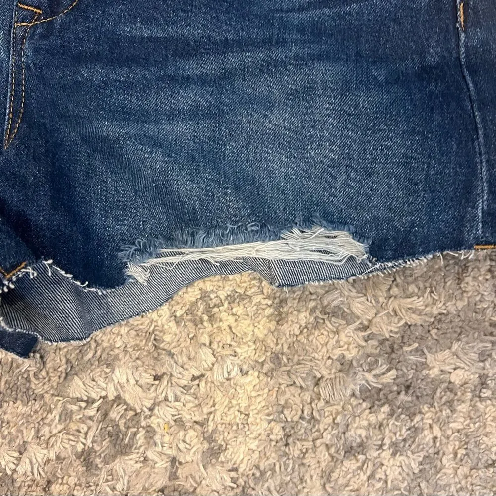NWT Blank NYC The Barrow Vintage high rise distressed denim shorts size 29 - Image 4