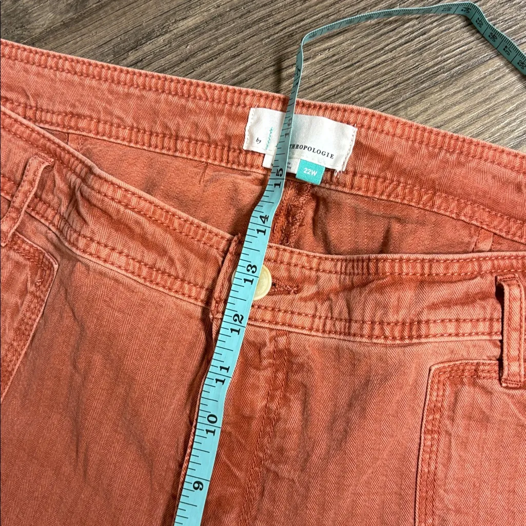 Anthropologie Herringbone Carpenter Soft Rust Pants NWT 22W - Image 8