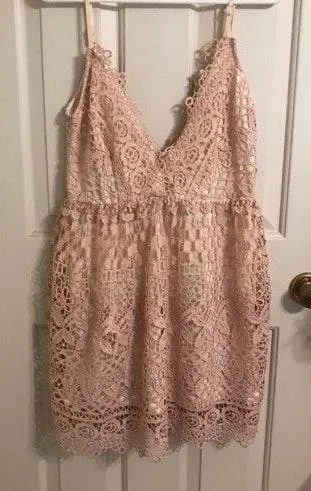 Tobi Light Pink Lace Dress - Image 2