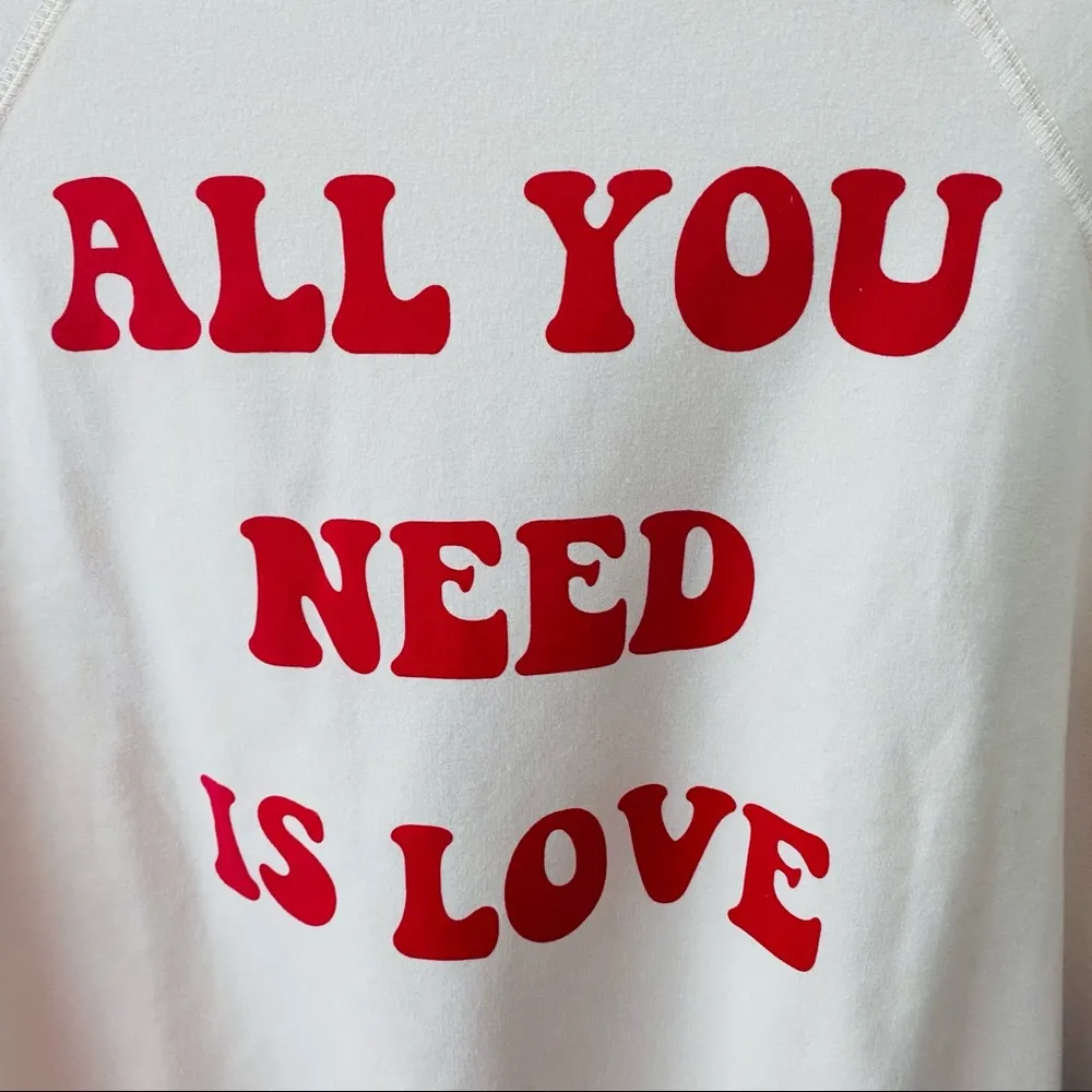 Wildfox  All You Need Is Love Sweater Sz Small - Image 6