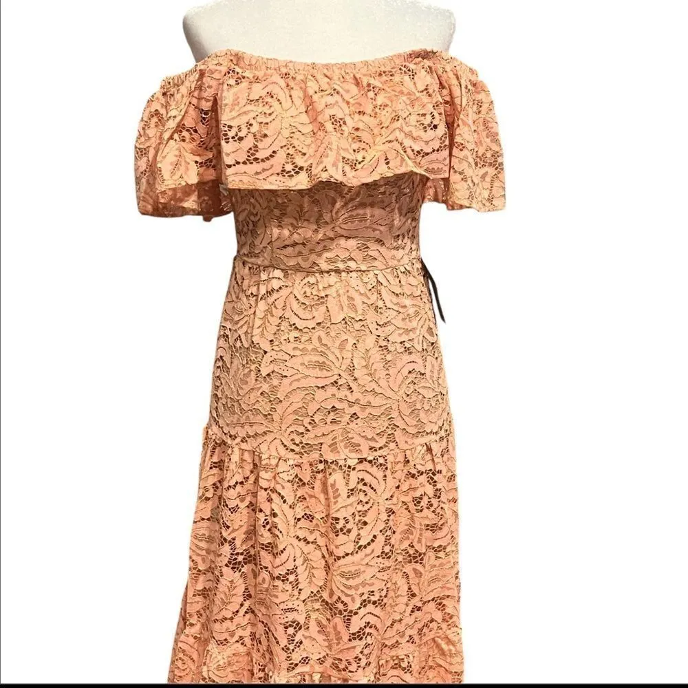 NWT dress the population Reese of the Shoulder rose‎ petal lace maxi dress XS - Image 4