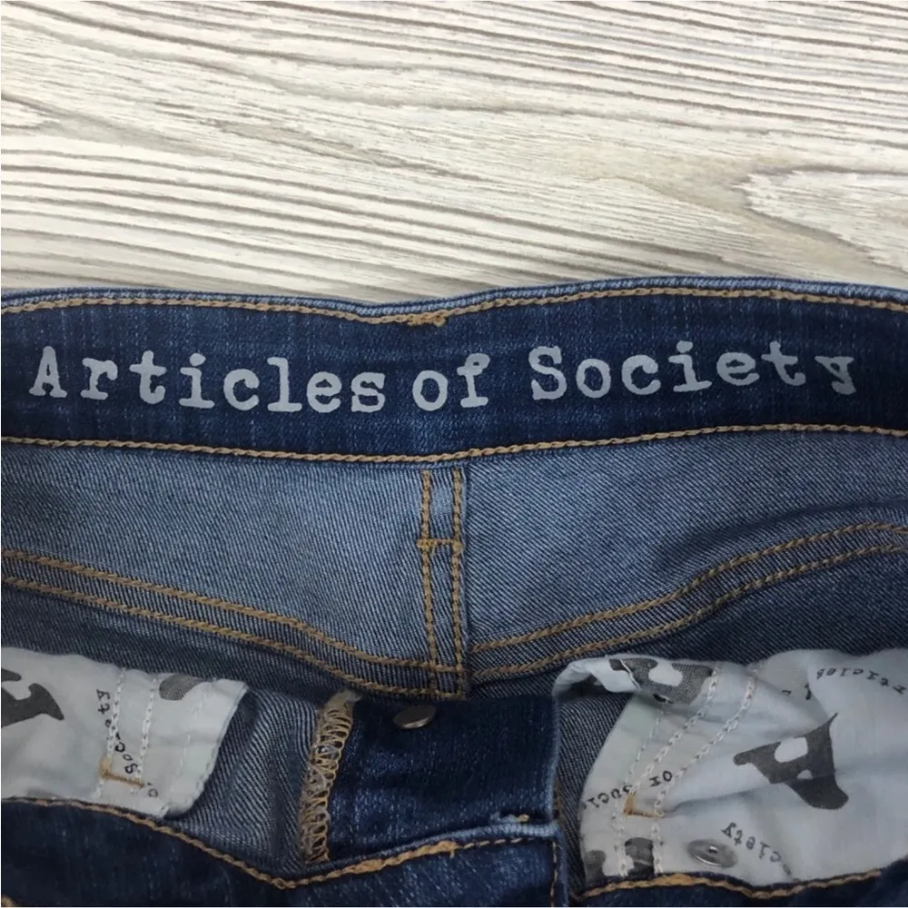 Articles of Society Hi-Rise Distressed Shorts - Image 5