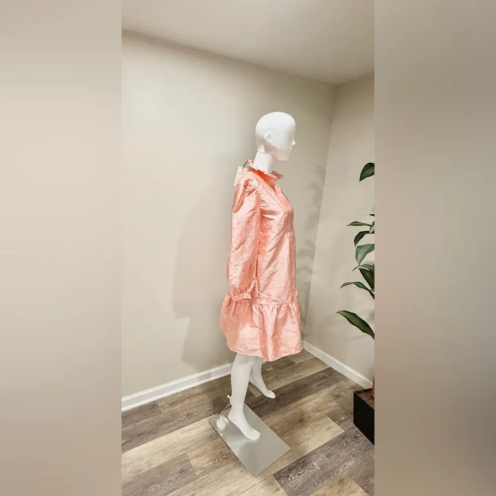 Tuckernuck Bellini Fil Coupe Palmerston Dress S NWT Pink Ruffle Party - Image 7