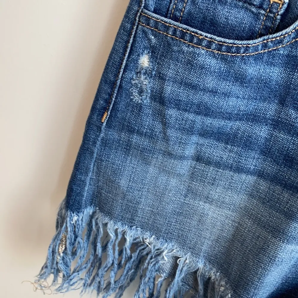 Vervet Flying Monkey Fringed Distressed Jean Shorts - Image 90