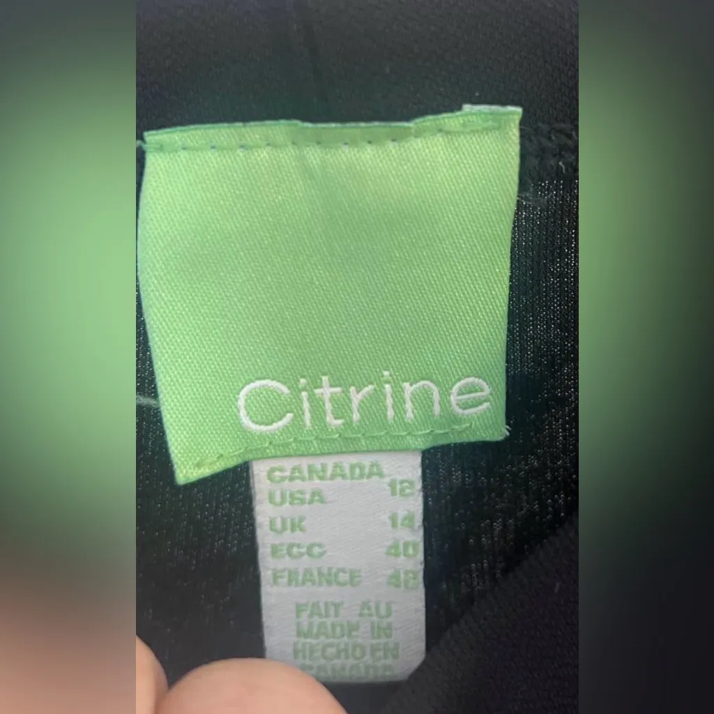 Citrine Black Swim Pants Size 12 - Image 4