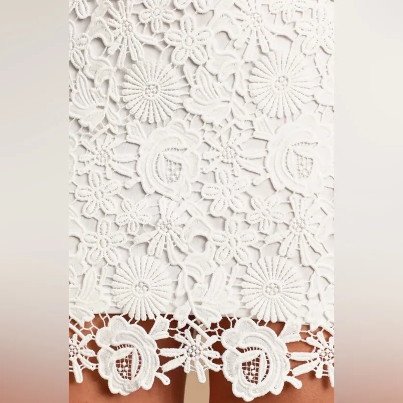 Love Poem Ivory Lace Mini Dress - Image 14