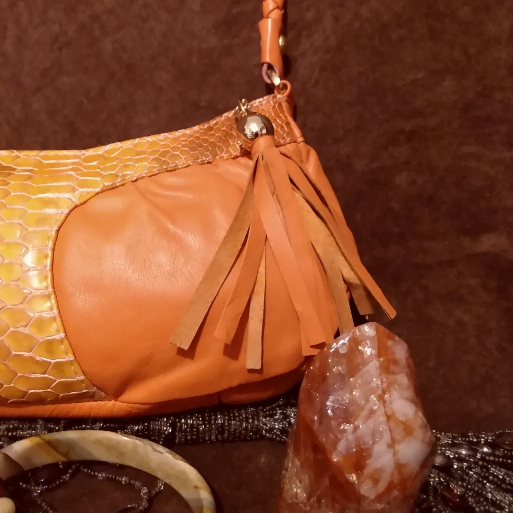 NWOT Jayne orange purse with snake bag - Image 3