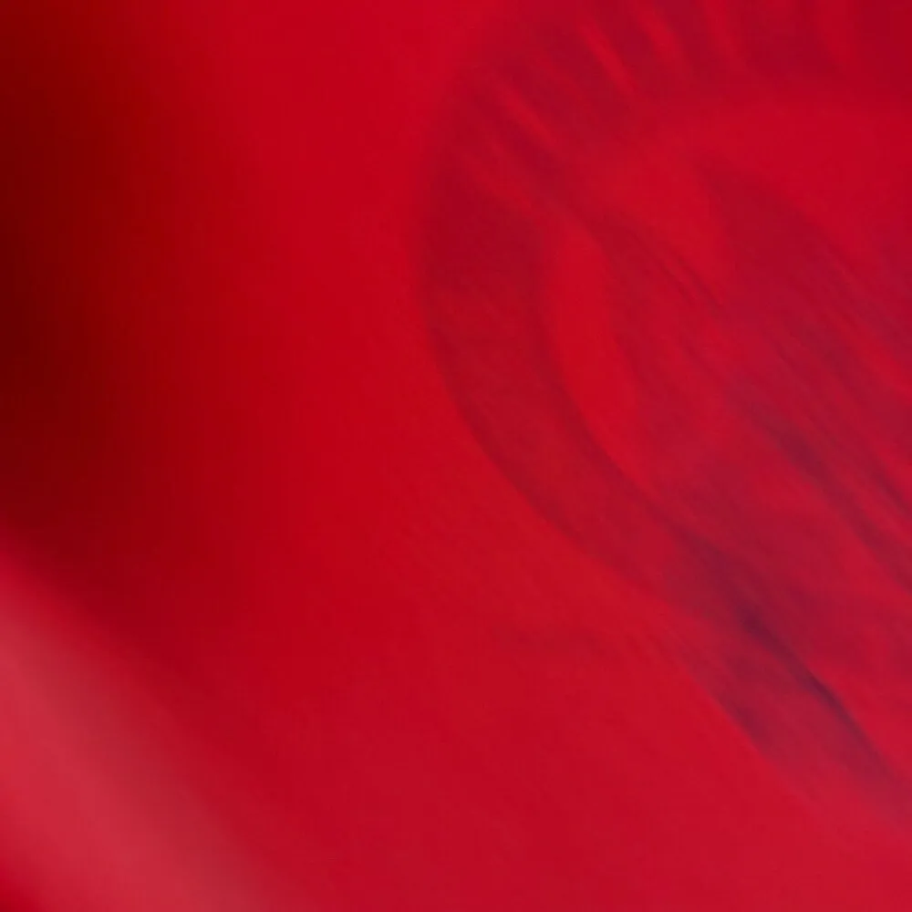 Fudpucker Tongue Twister T Shirt Vintage 90s Red Small S Graphic Tee Long Sleeve - Image 10