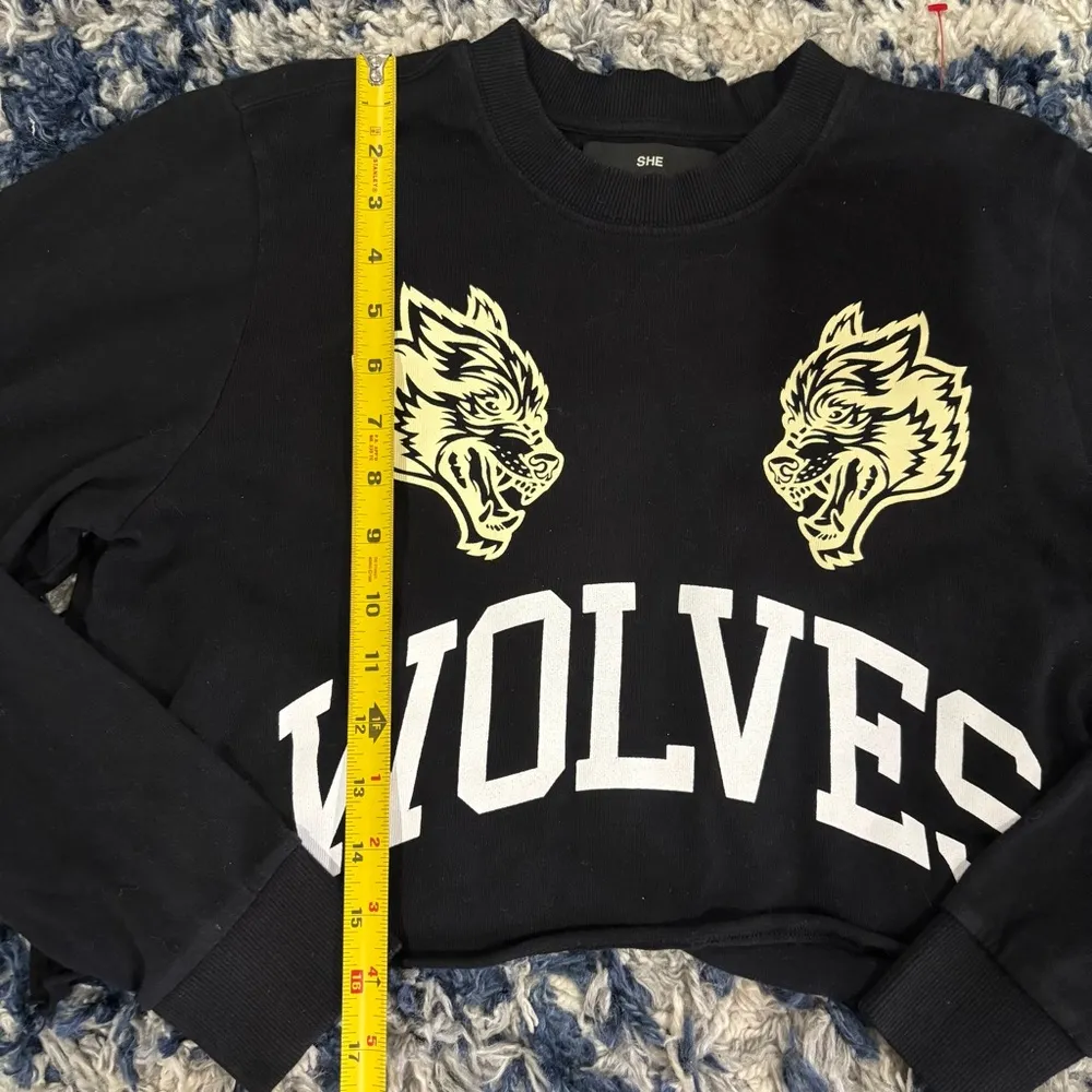 Darc Sport Grit Before Glory Cropped Wyoming Hoodie Small Black - Image 3