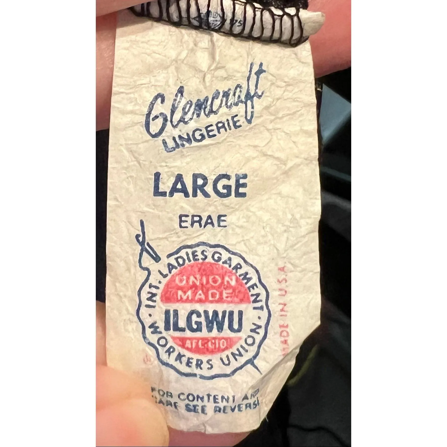 Old Hollywood Super dainty Vintage Black Nylon Maxi Gown. Sz large - Image 7