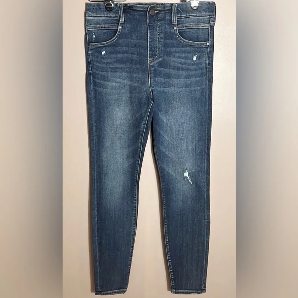Liverpool Gia Glider High Rise Distressed Skinny Jeans in Westler Wash Sz 12/31 - Image 9
