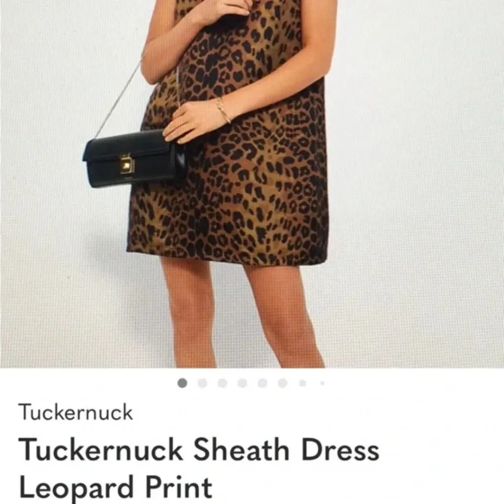 NWT Tuckernuck Marlowe Leopard Cheetah Print A-Line Mini Dress Size XS - Image 9