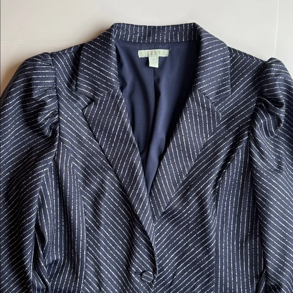 Womens Ryegrass Blue Stripe Puff Sleeve One Button Jacket Size 12 - Image 7