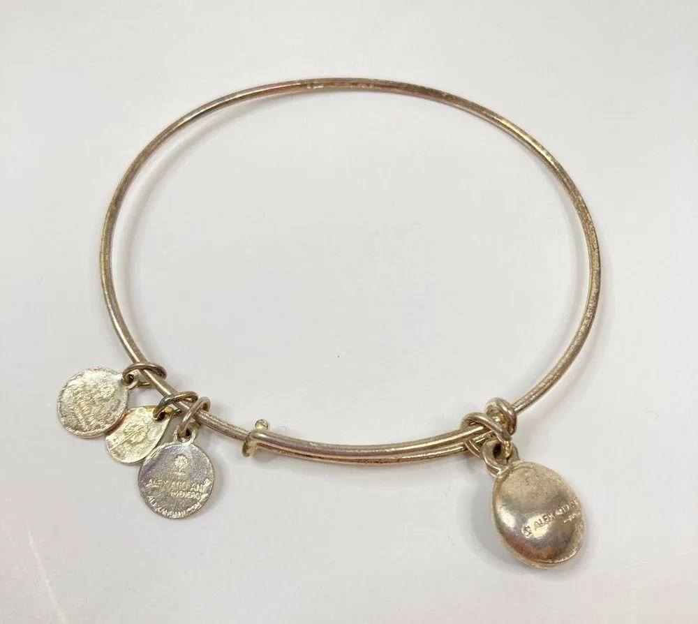 3/$30 Alex and Ani | February Birthstone Amethyst Bangle Charm Bracelet - Image 2