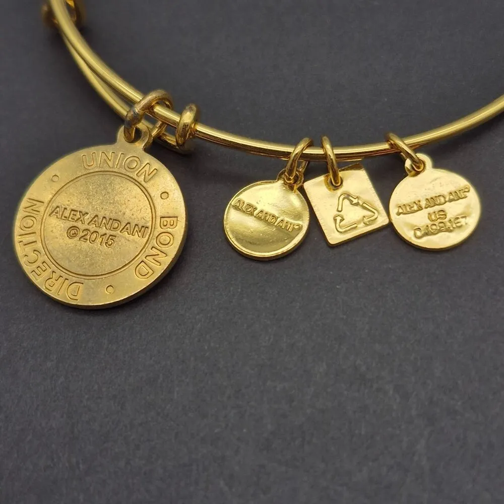 Alex and Ani "Arrows of Friendship" Charm Bracelet Adjustable Gold Tone & Blue - Image 5