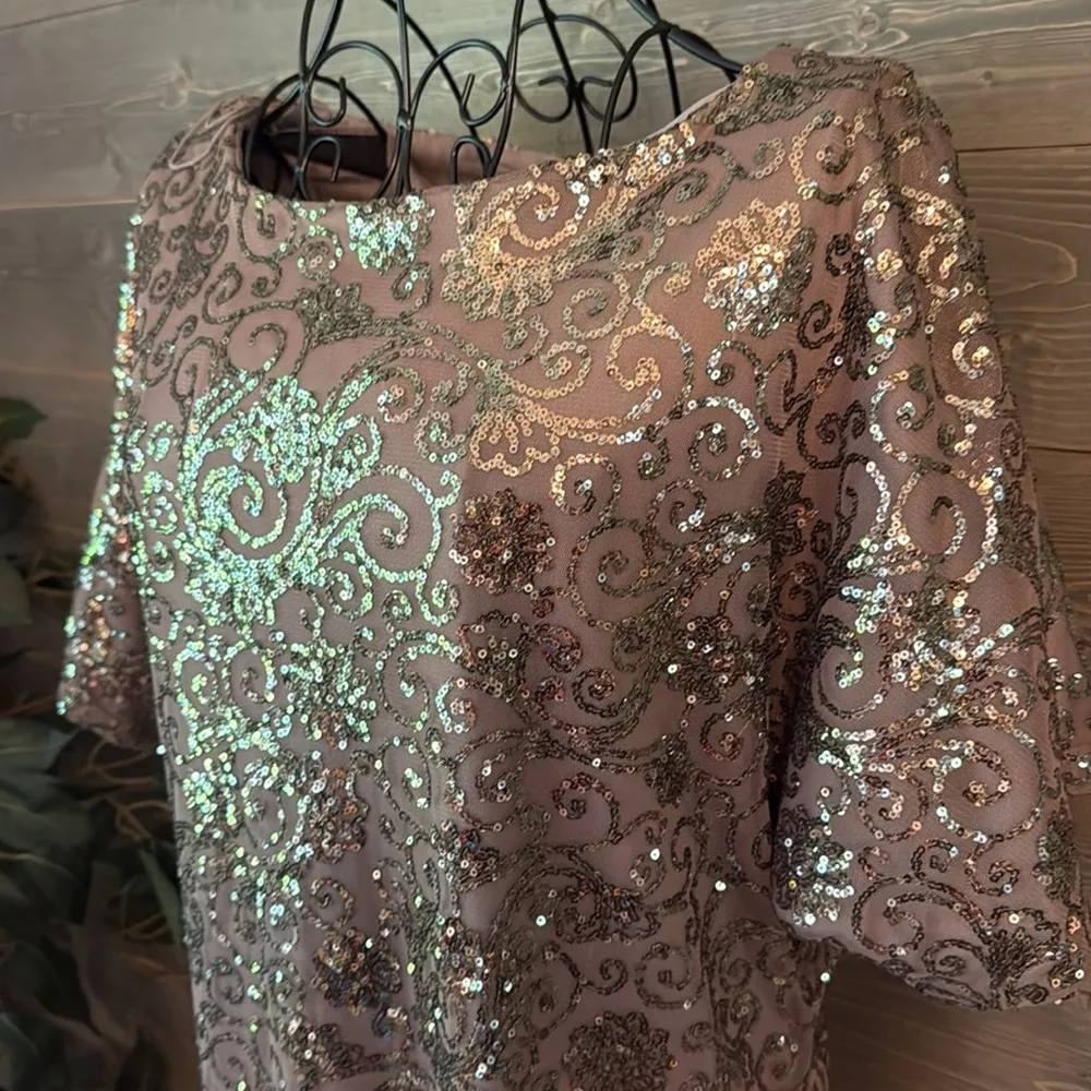 Scarlet scoop neck, short sleeve gray sequin dress - Image 2