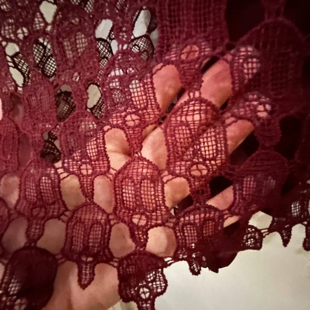 Hot Topic Burgundy Mini Dress size medium with skull overlay detail. Halloween - Image 4