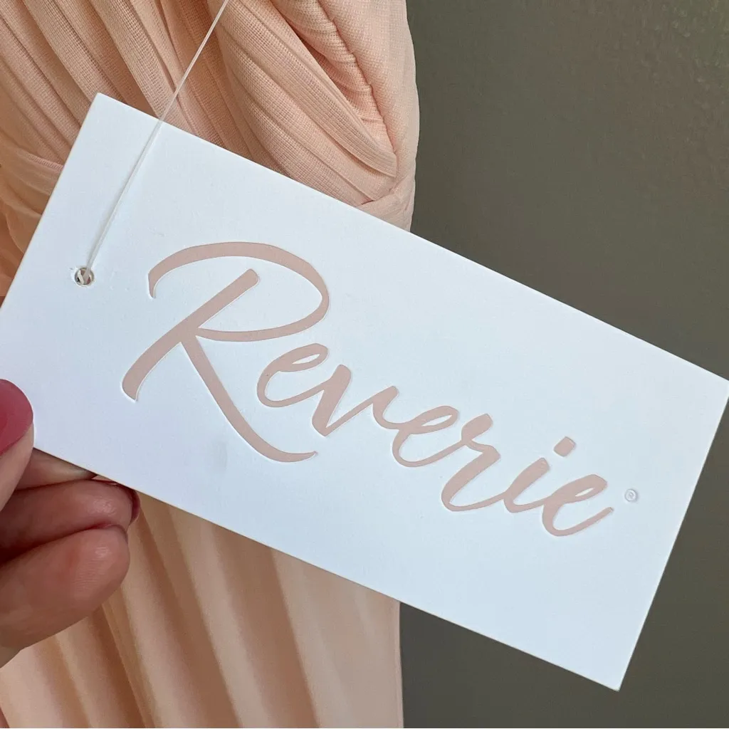 NWT Reverie Long Pleated High Neck Mesh Chiffon Pale Pink Formal Dress Size 8 - Image 5