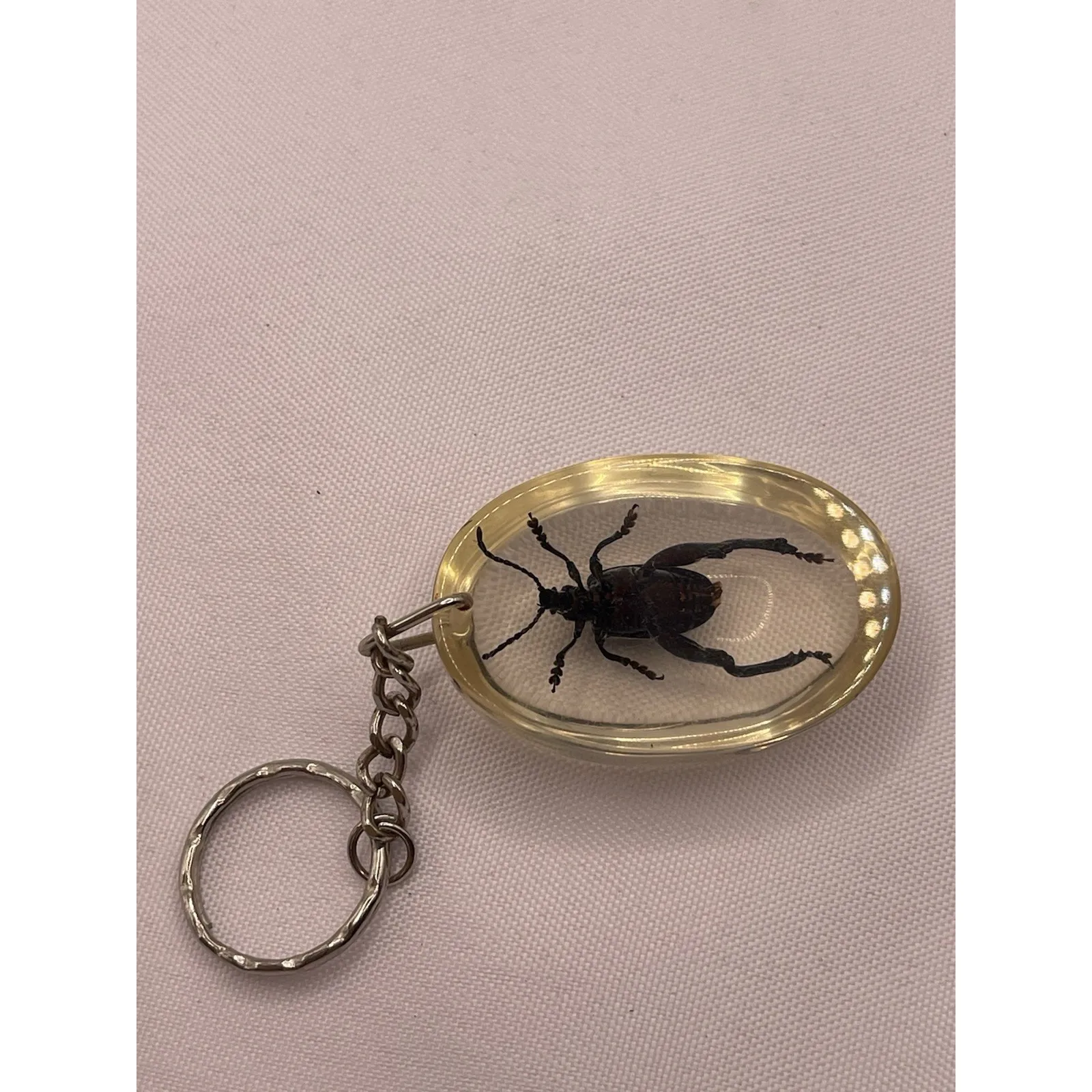 Black irredescent Spider Glow‎ in glow in the dark resin Key Chain Green - Image 2