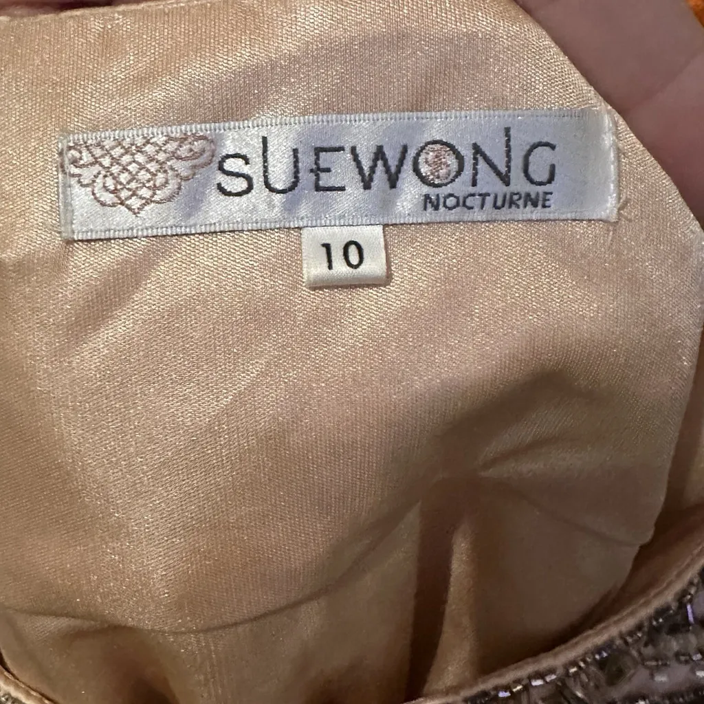 Sue Wong Nocturne VTG Y2K Beaded Silk Mini Dress Fairycore Flapper 10 Whimsigoth - Image 11