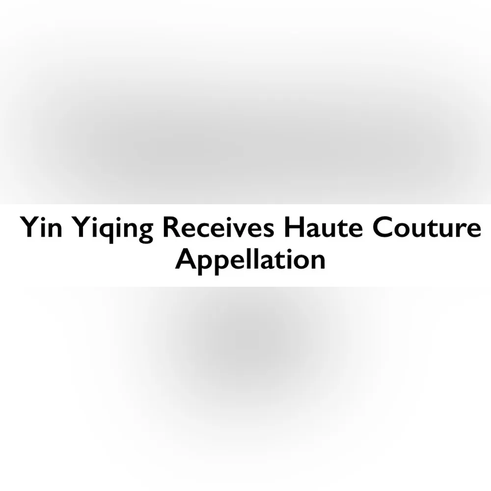 NWT Yiqing Yin Haute Couture Structured Vest with Feather Inserts Size 40 Black Size M - Image 14