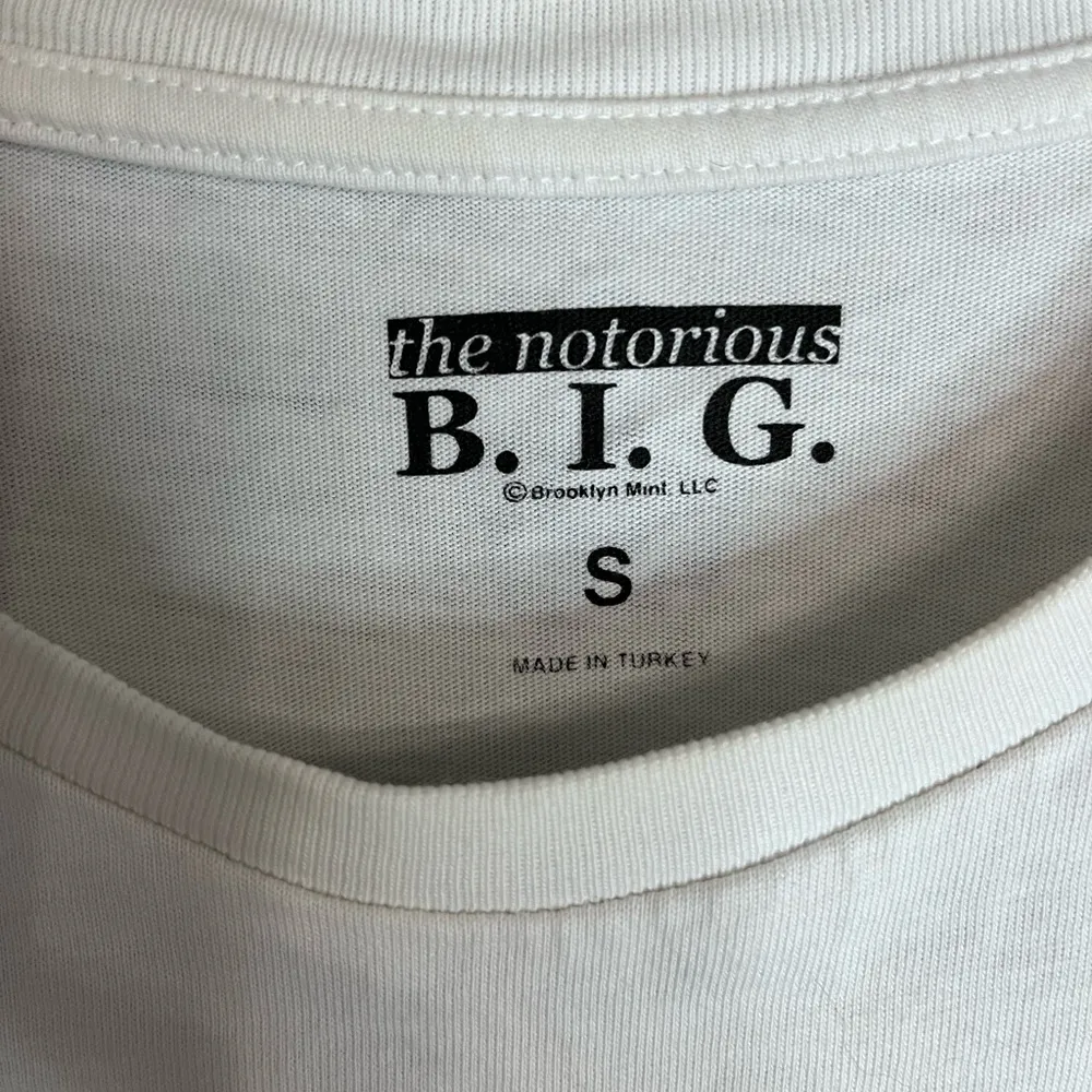 THE NOTORIOUS BIG T - Image 3