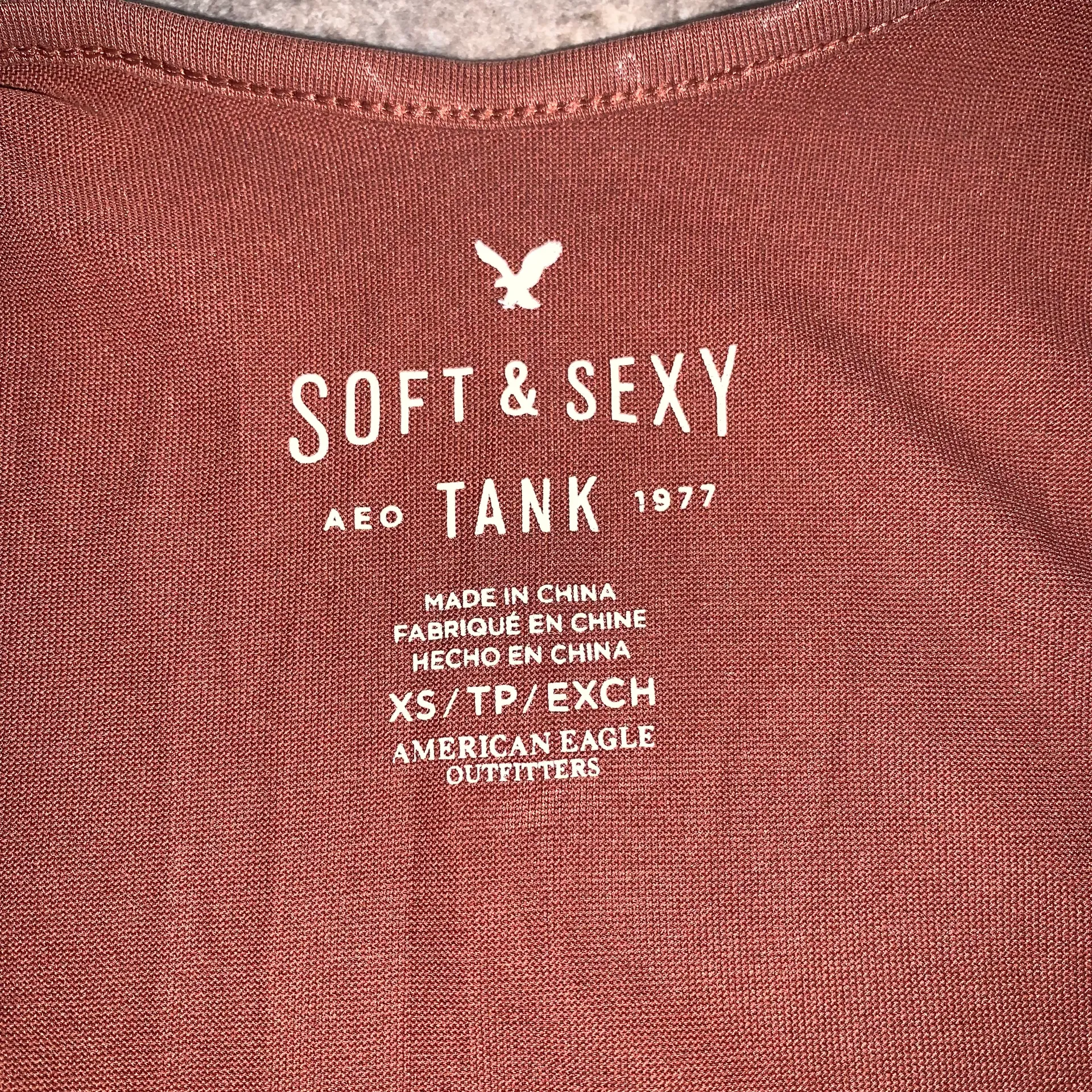 NWOT American Eagle Soft & Sexy Tank Top with Tassels - Image 6