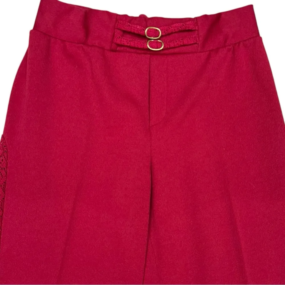 Vintage Disco Wide Leg Pants Size 15/16 Sheer Lace Flare High Waist, Maroon Red - Image 3