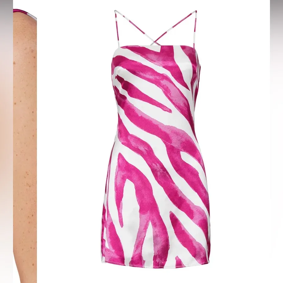 Rhea Mini Dress
The East Order pink zebra print slip party revolve formal $170 - Image 2