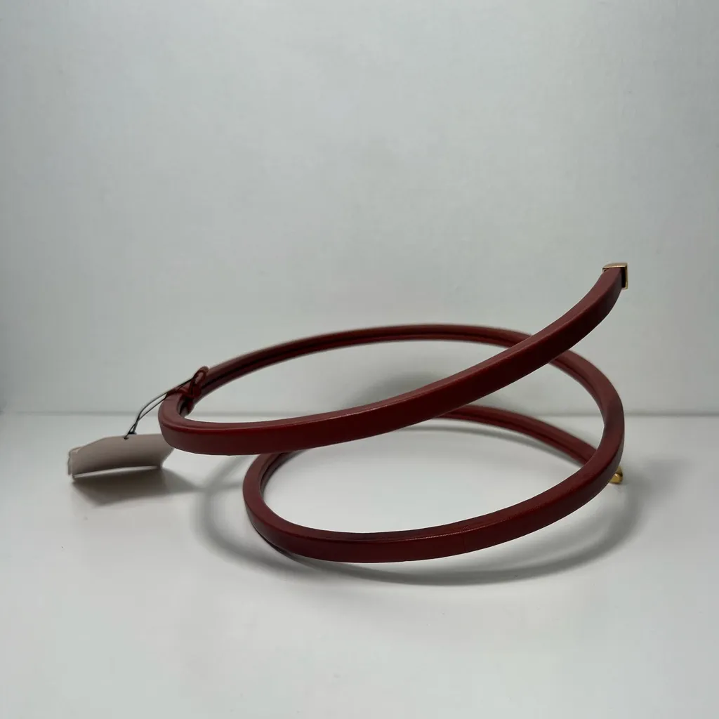 Bottega Veneta Snake Wrap Around Rust Leather Belt - Image 7