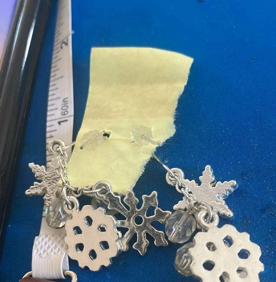 Elegant Silver winter Earrings - Image 4