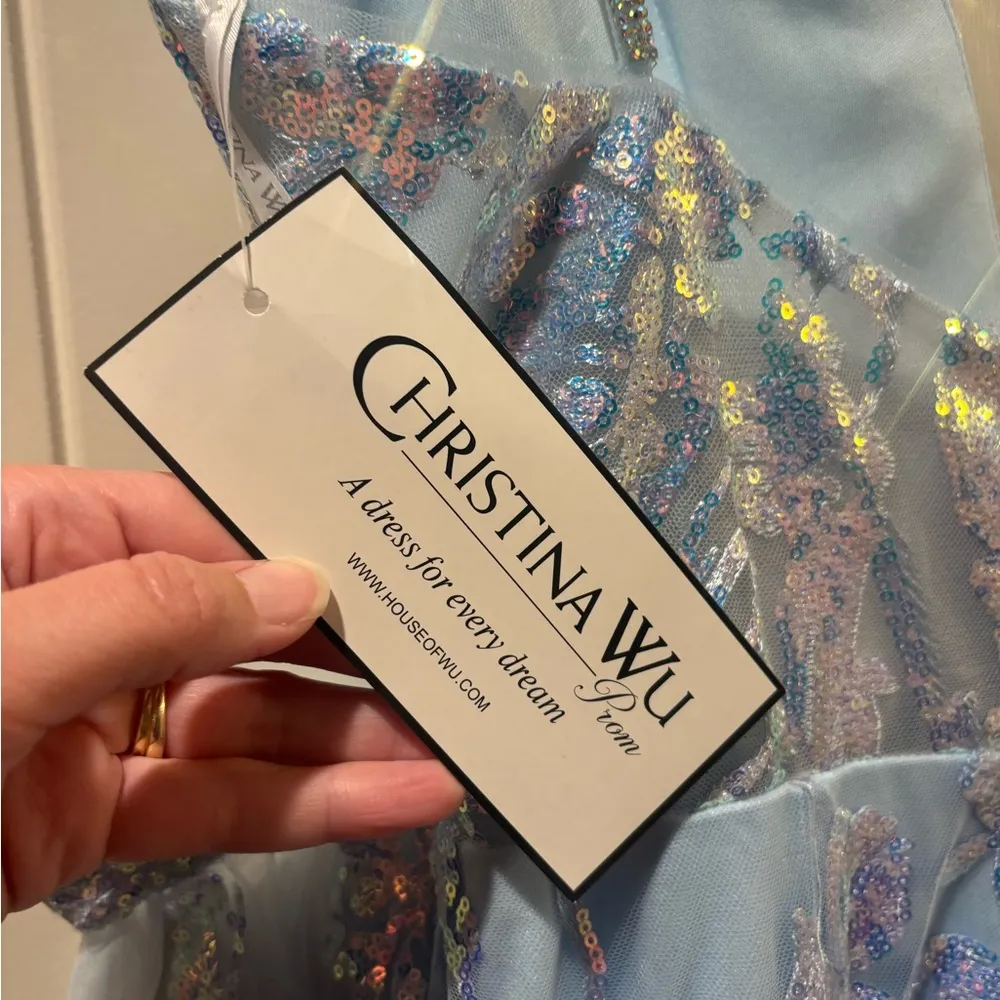House of Wu Tiffany Designs prom pageant formal party dress sky blue  size 4 NWT - Image 13