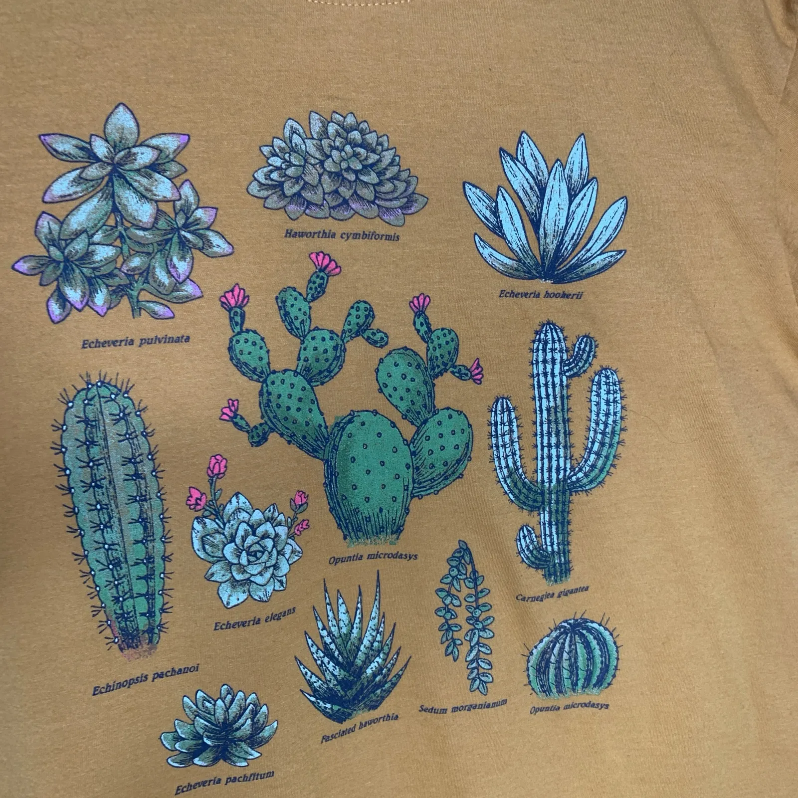 Fifth Sun Gold Cactus T Shirt Sz Medium - Image 7