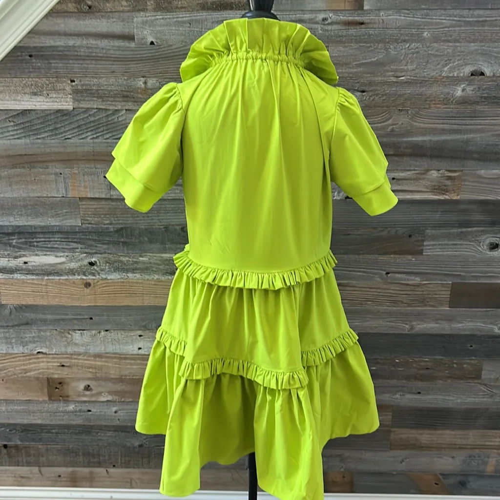 Alden Adair Hallie Ruffle Dress in Citrus Size Small NWT - Image 10