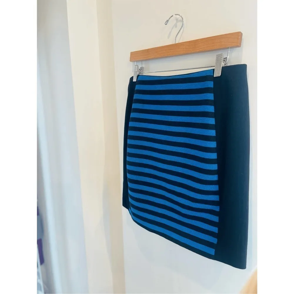 Ann Taylor Petite Mini Skirt​​​​​​​​​​​​​ - Image 4