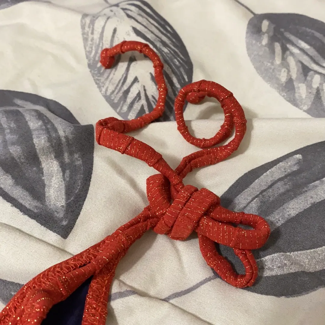 Sparkly Burnt Red Orange Bikini Bottom - Image 4