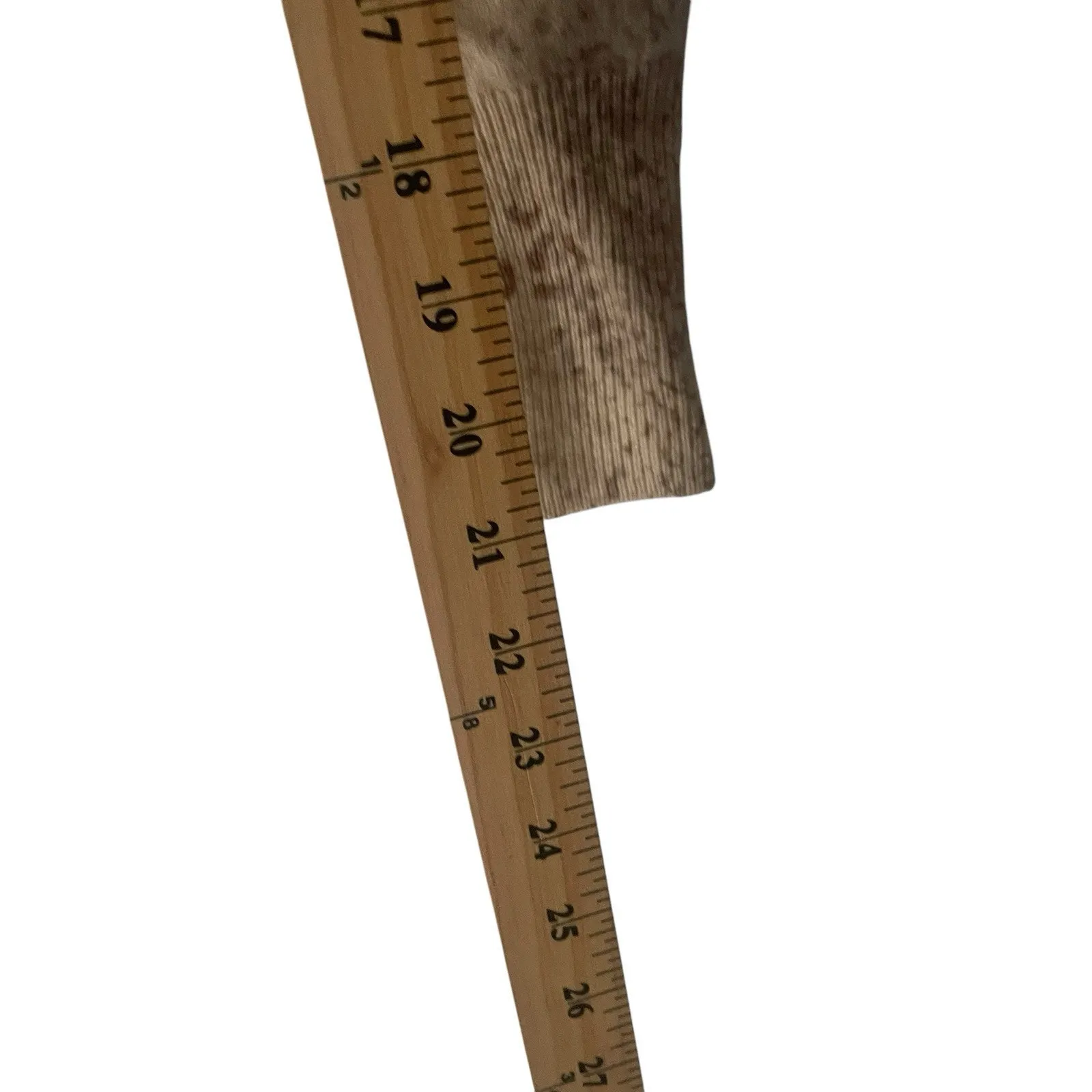 Brochu‎ Walker Size Small Animal Print Wool Cashmere Neutral Crewneck Sweater - Image 8